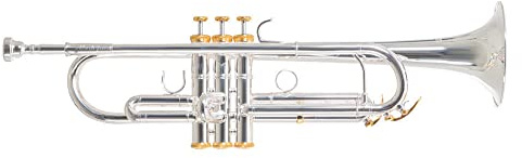 Roy Benson Trompeta Sib Charli Green Signature-Model (caja de resonancia plateada de primera calidad, con detalles chapados en oro, estuche rectangular de lujo incluido, con juego de mochila)