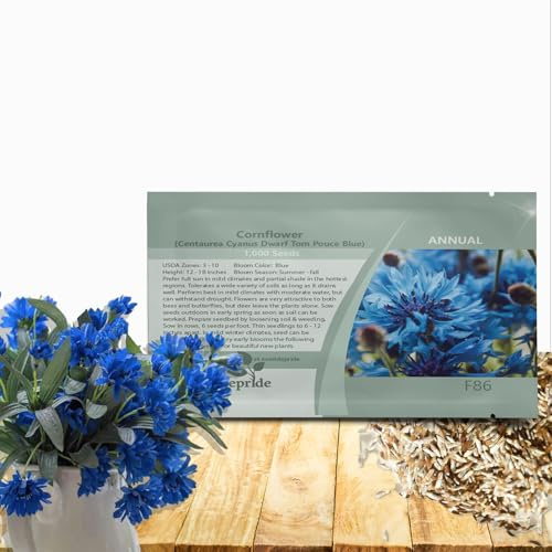 Outsidepride Dwarf Blue Cornflower Seeds for Planting - 2000 Pcs. Annual Bachelor's Button Flower Seeds for Cut Flower Gardens, Drought-Tolerant, Attracts Pollinators, Ideal for Borders & Bouquets
