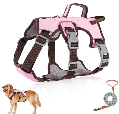 Grantop Mehrzweck-Hundegeschirr mit Leine Set, Ausbruchsicheres Anti Zug Hundegeschirr, Anti Zug Geschirr Hund Sicherheitsgeschirr, Hundegeschirr Kleine Hunde für Kleine Mittelgroße Hunde(Rosa, M)
