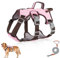 Mehrzweck-Hundegeschirr mit Leine Set, Ausbruchsicheres Anti Zug Hundegeschirr, Anti Zug Geschirr Hund Sicherheitsgeschirr, Hundegeschirre Kleine Hunde für Kleine Mittelgroße Hunde(Rosa, M)