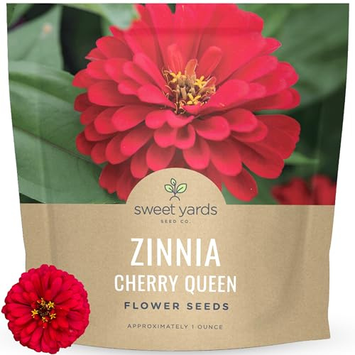 Zinnia Cherry Queen – Large 1 Ounce Packet – 4,000 Flower Seeds for Planting – Zinnia elegans