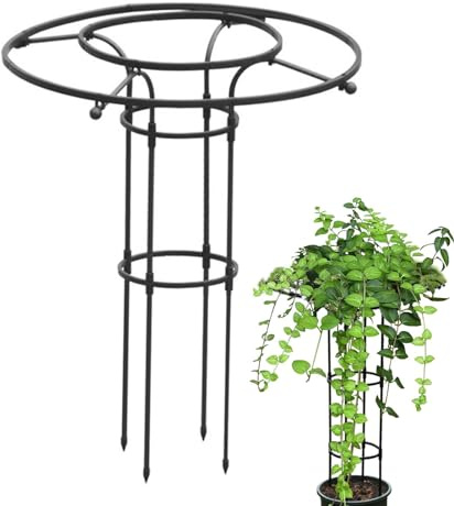 Obelisco de jardín | 90 cm Tutor Plant_e Escalante | Jardín Tutores de Plan_tes | Malla de flor soporte de jardín en forma de torre para Plan_tes trepadores
