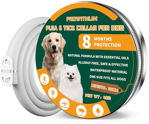 Collare Antipulci e Zecche Regolabile Impermeabile, Antiparassitario per Tutti i Tipi di Cani, 8 Mesi di Efficacia Protezione (1 pacchi)