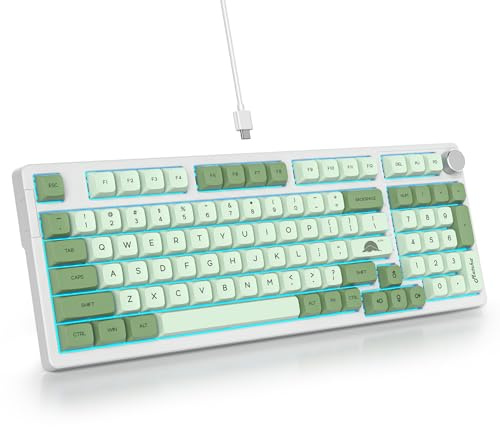 SOLIDEE Kabelansluten Mekanisk Spel Tangentbord, Gasket Struktur RGB Bakbelyst Tangentbord, 98 Utbytbara Mekaniska Tangenter med Kontrollknapp, NKRO Kompakt Tangentbord (98 Tangenter)