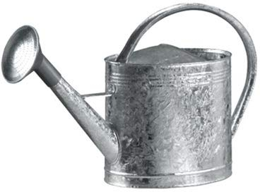 GUILLOUARD Arrosoir en Acier galvanisé à Chaud - avec Pomme - 13 L