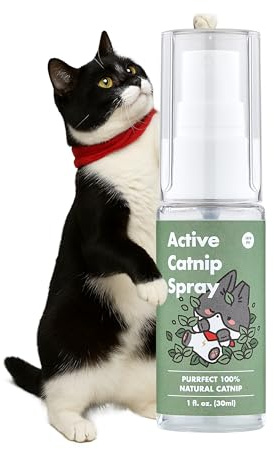 JAYU PET Katzenminze & Matatabi Spray Set für Katzen – Catnip & Silvervine Katzenspray gegen Langeweile & Stress (Katzenminze)