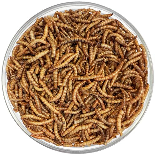 Agrarzone Vers de farine séchés 5 kg – 32 litres – Snack d'insectes de qualité supérieure pour oiseaux, poissons, rongeurs, hérissons et reptiles – Nourriture riche en protéines pour oiseaux sauvages