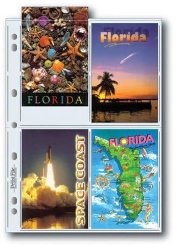 Print File 8mil Polypropylene Postcard Album Pages, 25 Pack