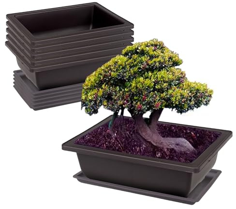 WIYETY 6 Pezzi Vasi per Bonsai: Vasi Rettangolari per Bonsai con Vassoio in Plastica, Vaso per Piante Grasse, Vaso per Piante da Giardino, Soggiorno, Terrazzo e Davanzale (23x17x8 cm)