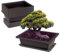 WIYETY Lot de 6 bols d'entraînement pour bonsaï : pots à bonsaï rectangulaires avec plateau en plastique, plantes succulentes, pot de fleurs pour jardin, salon, terrasse et rebord de fenêtre (23 x 17