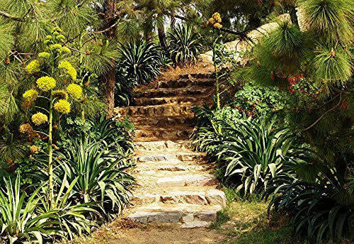 Papier Peint Photo INTISSÉ-FORÊT-400x260 cm-(1116AE)-Nature Arbres d'automne Lac Paysage Arbre Bouleaux Jungle Colle Inclus Mural Décor Motif Poster Géant Stickers Muraux Optique Moderne Fond Effet