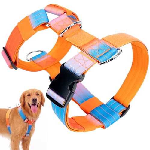 Olcyren Harnais Chien Anti Traction, Arnet pour Chiens avec Attache Devant, Réglable, Respirant, Facile à Mettre, Dog Harness, Harnet pour Chien de Taille Moyenne et Grand (Orange Dégradés, XL)
