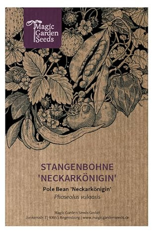 Fagiolo rampicante 'Neckarkönigin' (Phaseolus vulgaris) - circa 50 semi