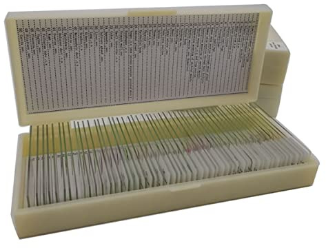 microscope accessories kit slide preparation camer 50Pcs Mixed Histology Prepared Microscope Slides Set microscope accessories