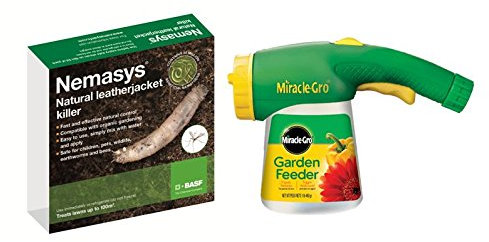 Nemasys Leatherjacket Killer Nematodes Treats 100sq.m + Nematode Applicator