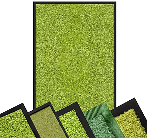 Schmutzfangmatte GRÜN - XXL Teppich für Flur Eingang Eingangsbereich innen & außen - Türmatte Sauberlaufmatte Fußabtreter Fussmatte - rutschfest & pflegeleicht (120 x 180 cm, Rhine)
