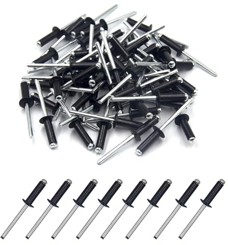 BESTYCHAO 100 pezzi rivetti ciechi in alluminio 4,8 mm x 16 mm, rivetti pop rivetti aperti, confezione da 100 - nero