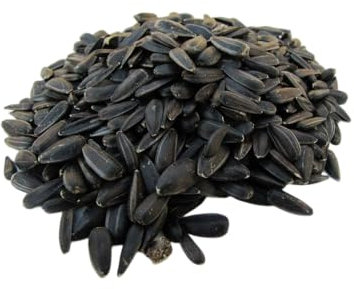 Sonnenblumenkerne schwarz 25kg, aus aktueller regionaler Deutscher Ernte