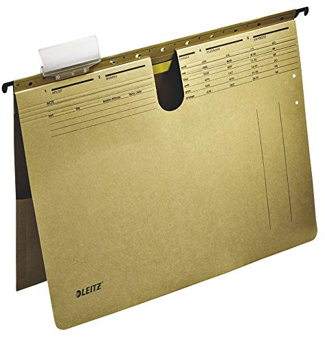 ESSELTE LEITZ GMBH & COKG Hängehefter naturbraun