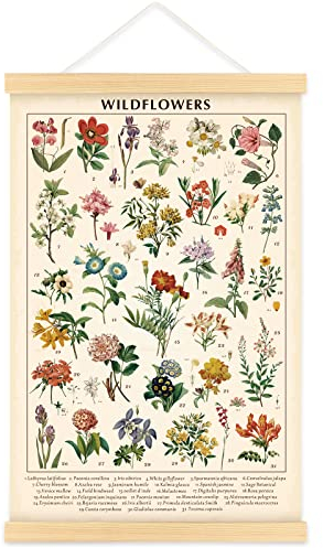 Wildflower Botanical Chart Poster, Vintage Floral Wall Art, 15.7 x 23.6 in