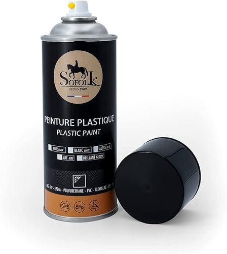 SOFOLK Peinture Plastique Haute résistance pour Auto, Tableau de Bord, Garnitures de Porte, Pare-Choc (05-Gris Clair Brillant)