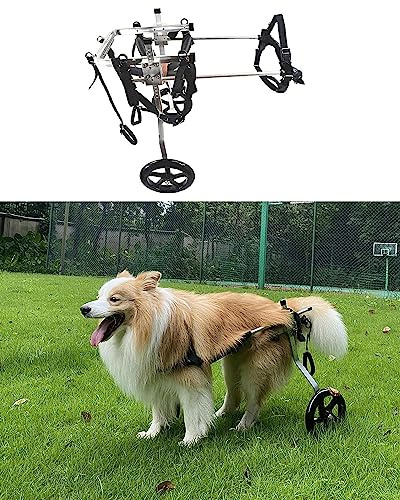 husdjursvagn， Hjälpmedel for mobilitetsvagnar for medelstora/stora hundar, rehabiliteringsutrustning for husdjurshundar for funktionshindrade, bakbensgångar(Size XXXL)