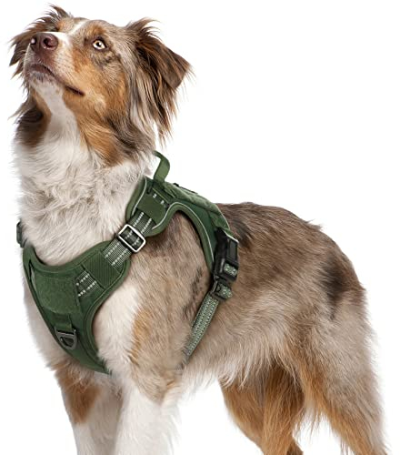 rabbitgoo Hundegeschirr mittelgroße Hunde, Anti Zug Geschirr Hund Verstellbar mit Griffe Verbreitert, Robust und Verschleißfest, Taktisches Hundegeschirr mit Metallschnallen zum Wandern(M, Grün)