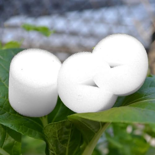 Kit de culture efficace avec 50 filets et 50 éponges sans terre pour des racines plus fortes