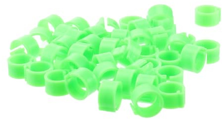 LABRIMP Bague Oiseau Lot de 100 Pièces en Plastique Vert 10mm pour Identification Facile des Pigeons pour Gestion D’élevage et Fournitures pour Pigeons