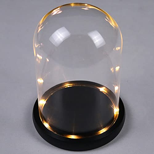 DuvinDD Glass Dome Cloche with LED Light Base Countertop Small Bell Jar Display Dome Clear Glass Display Case Deco, 4.33 D X 4.7 H, Valentines Day Gifts
