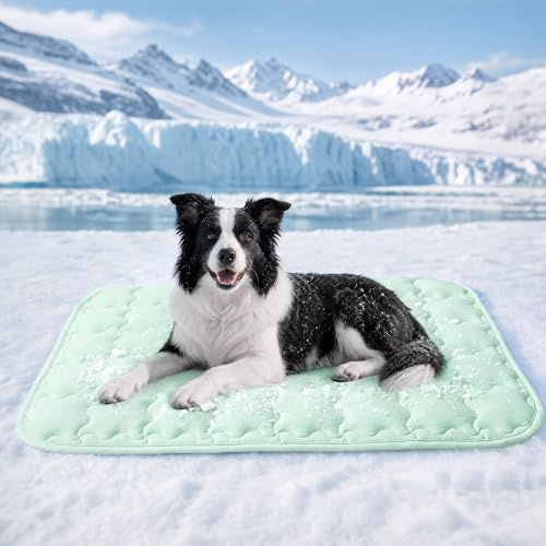 luciphia Alfombra refrescante para perros y gatos,Alfombrilla para perros,cojín refrescante para el verano,cama lavable para perros,manta refrescante perros grandes,medianos y pequeños Verde 51*77cm