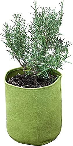 Haxnicks Small Vigoroot Plant Pots | Special Garden Fabric Needs Less Compost | Better Roots | Stronger Plants | Up To 30% Higher Yield | Capacity 5L Green | VIG080101