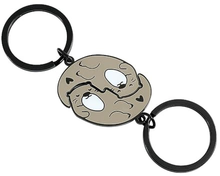Bocguy 2 Pieces Keychains, Otter/Cat Partner Keychain, Couple Keyring, Brother Keyring, Silvery, One Size