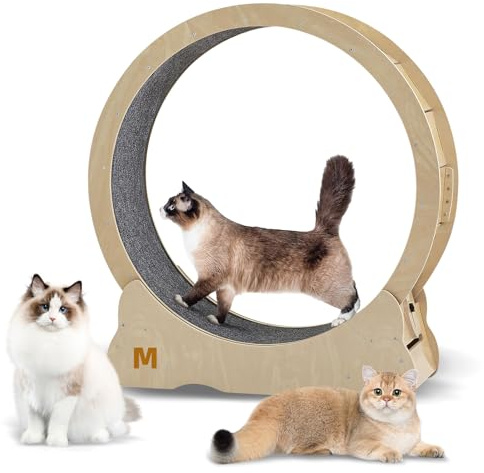 Cat Exercise Wheel for Indoor Cats Treadmill, Cat Running Wheel with Carpeted Runway, 35.8 inch Cats Fitness Weight Loss Device Suitable for Most Cats.(M)