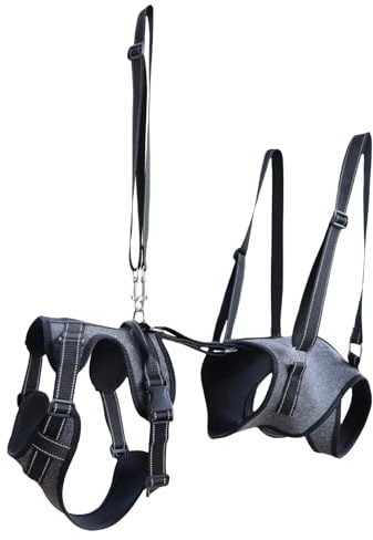 Système de ceinture pour chien complet - Harnais d'aide à la mobilité pour chiens avec poignée - Aide au transport en cas de restrictions de mouvement, de blessures, de rééducation pour chiens âgés