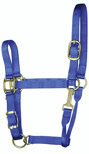 Hamilton Quality Adjustable Horse Halter, 500-800 lbs, Blue