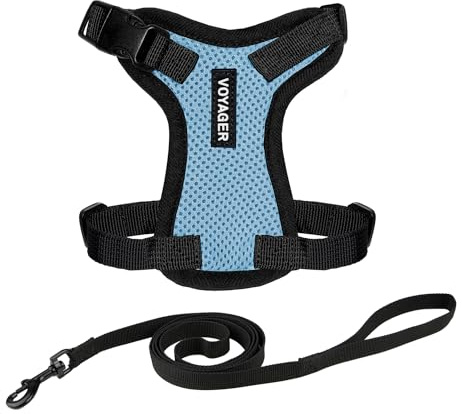 Voyager Step-in Lock Cat Harness and Reflective Cat Leash with Neoprene Handle by Best Pet Supplies - Supports Small, Medium and Large Breed Cats, Baby Blue/ Black Trim, size XXS - 5ft