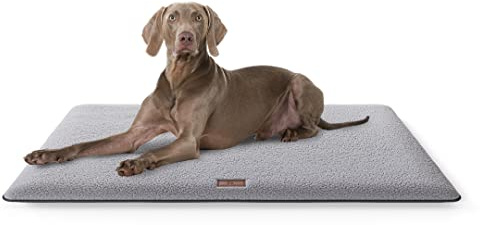 Knuffelwuff kuschelige Hundematte Calliope aus Teddy Material 120x80cm Grau - Hundekissen für große, mittelgroße und kleine Hunde - Für Zuhause, Auto, Wohnmobil, Wohnwagen