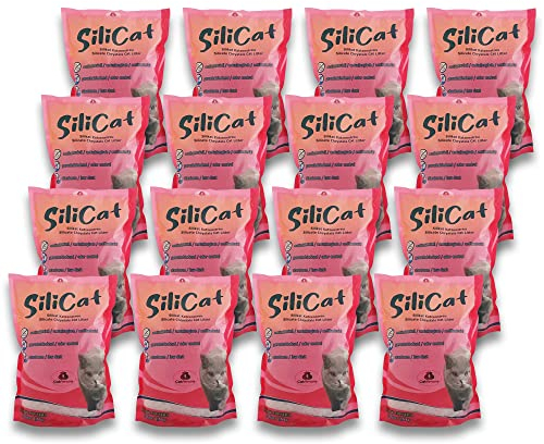 CatAmore Silicat Silikat Katzenstreu - 16 x 3,8 l (60 l) | Hochabsorbierend, staubfrei, geruchsbindend, antibakteriell | Nicht klumpend, für empfindliche Katzen geeignet