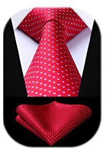 HISDERN Herren Krawatte Hochzeit Rot karierte Krawatten Taschentuch Blumen Elegant Klassisch Krawatte & Einstecktuch Set
