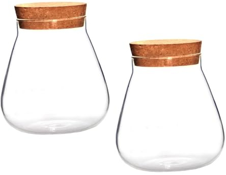 SHINEOFI Bottiglie Trasparenti Tappo in Sughero, 2 Pezzi, Vaso Paesaggistico in Vetro Spesso Per Coltivazione Di Muschio e Decorazione Casa