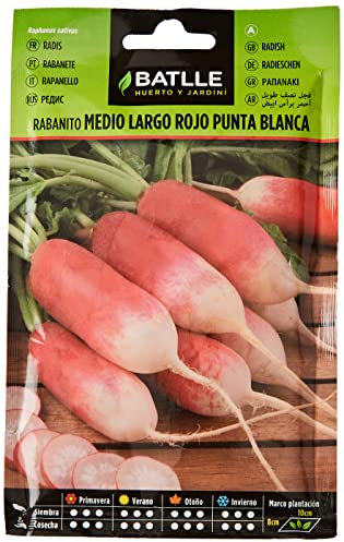 Semillas Batlle Radis Moyen-Long, de Mayorque, Pointe Blanche