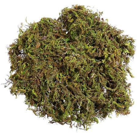 Gadpiparty Fake Moss, Artificial Moss for Indoor Plant Pots, 60g Pack for Indoor And Outdoor Use