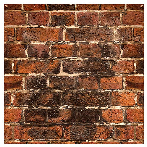 murando - Vlies Tapete Deko Panel Fototapete Wandtapete Wand Deko 10 m Tapetenrolle Mustertapete Wandtapete modern design Dekoration - Ziegel Ziegelwand Ziegelmauer f-C-0328-j-a