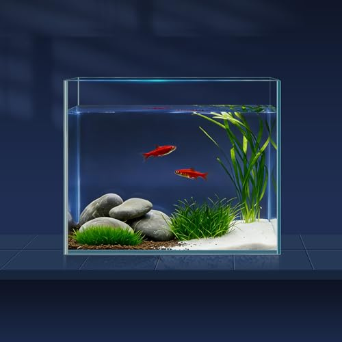 LAQUAL Kit acquario da 3.8 L con rete, sifone per acqua & 2 panni pulizia, vetro cristallino, piccolo acquario per Betta & pesci rossi, bella decorazione casa