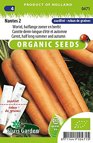 Carrotte Nantaise 2 RUBAN - Graines Biologiques