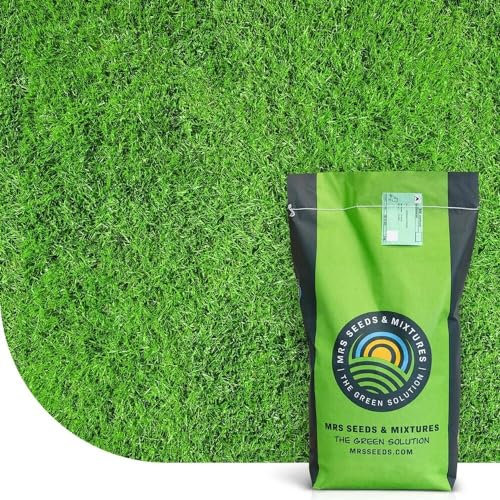 Champion: Semences de gazon sport | 1 kg pour 60 m² | Résistant pour sport & usage intensif | Adapté à tous types de sols | Croissance Rapide | Faible entretien