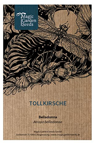 Belladonna (Atropa belladonna var. belladonna) - circa 200 semi