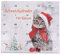 Ollesch Katzenspielzeug Adventskalender für Katzen Weihnachten, Größen alle Rassen