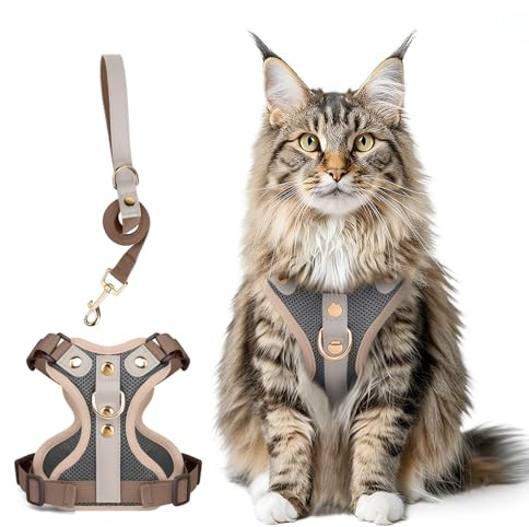 Muecleao Ensemble Harnais et Laisse pour Chat Anti-Fuite, Bordure en Cuir Microfibre Premium, Harnais Réfléchissant Réglable pour Chats, Harnais pour Chaton Respirant sans Traction avec Maille Douce